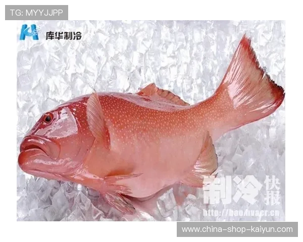 动态定价策略应用范围扩大,供需调节平衡用户体验